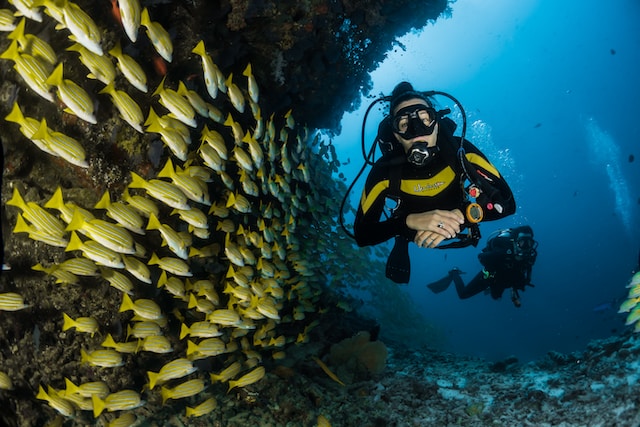 La plongée en mer